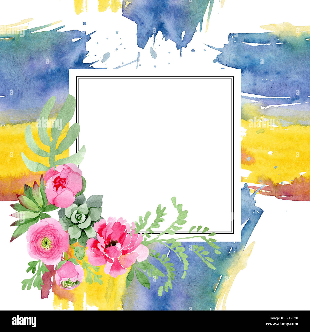 Pink ranunculus floral botanical flowers. Watercolor background ...