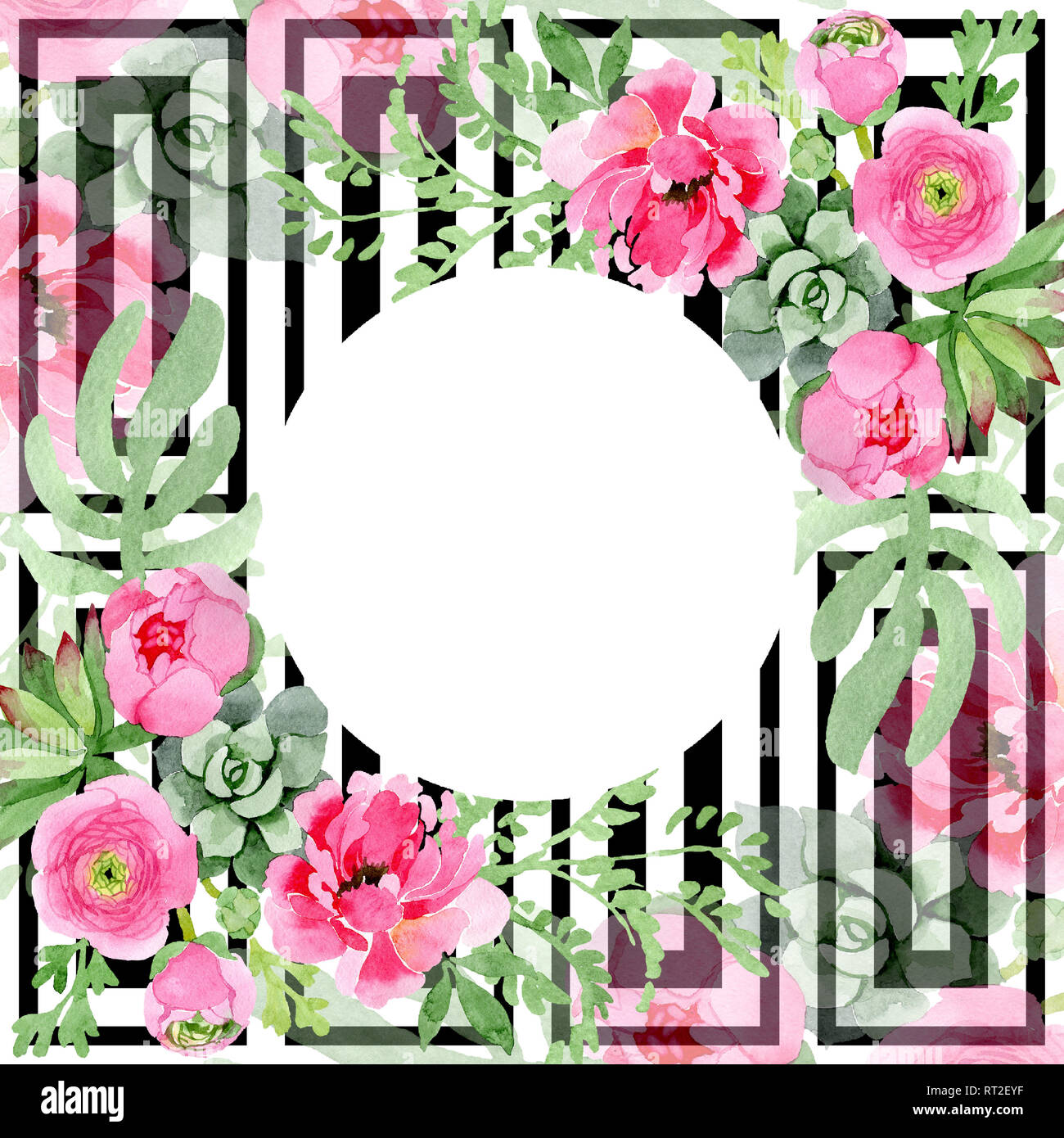 Pink ranunculus floral botanical flowers. Watercolor background ...