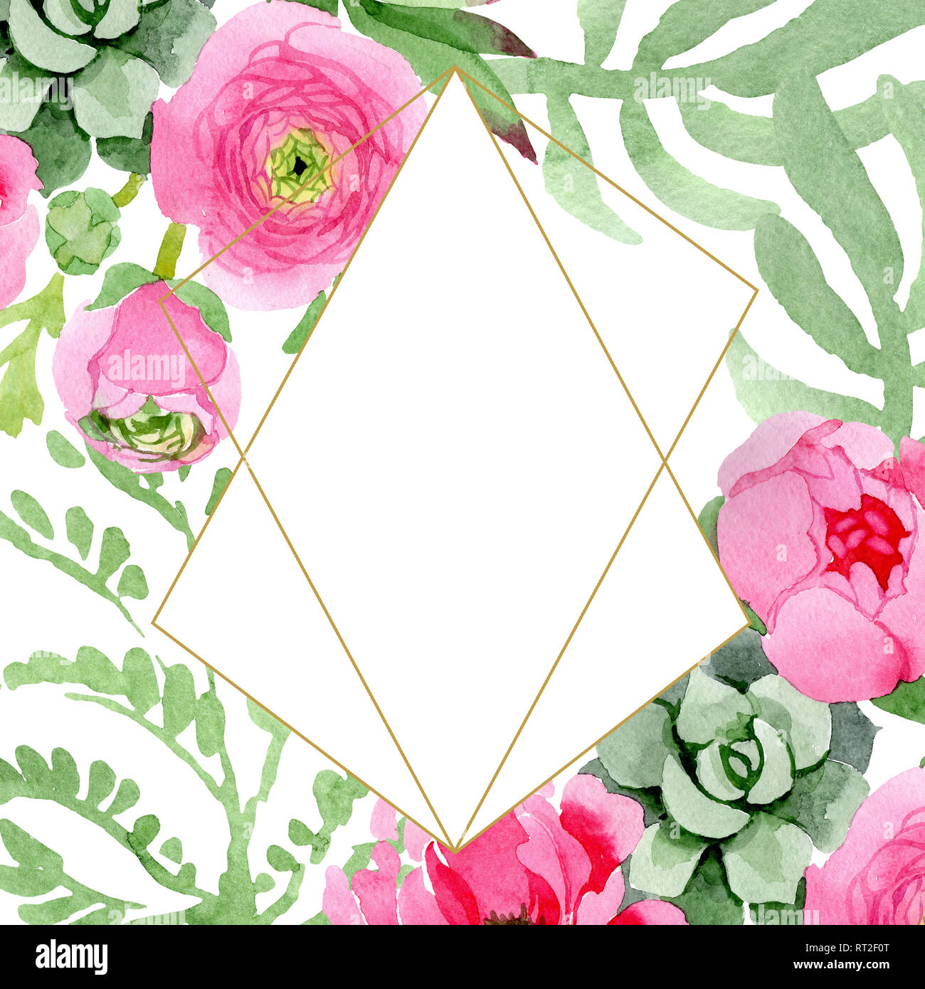 Pink ranunculus floral botanical flowers. Watercolor background ...