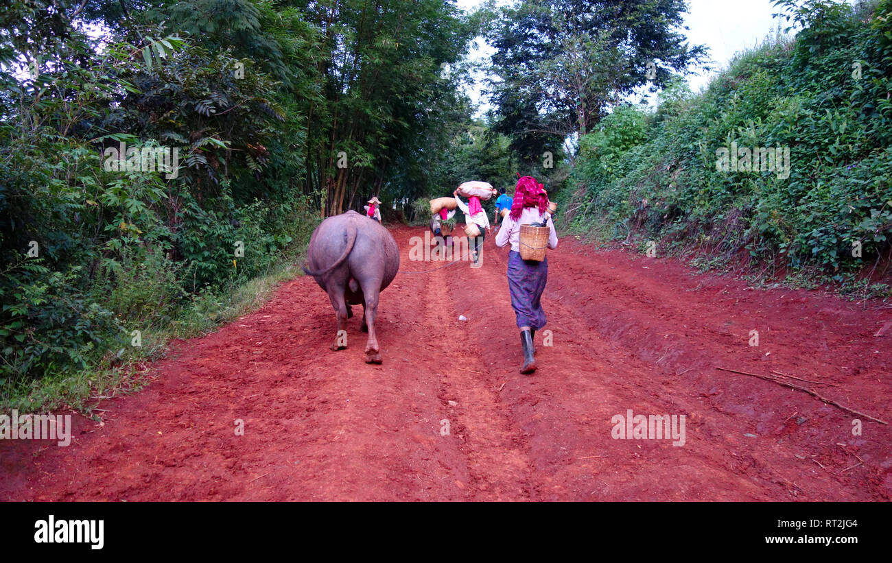 Myanmar, Rural Life Stock Photo