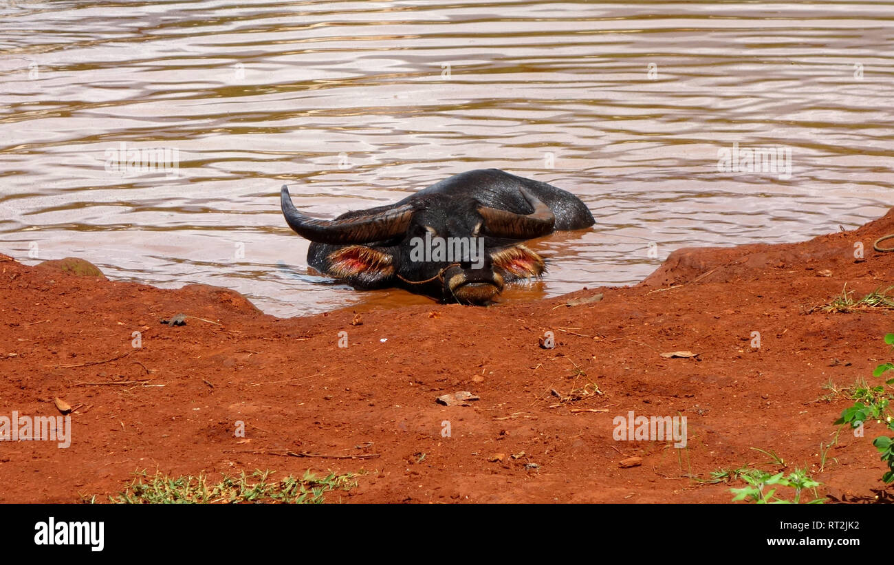 Myanmar, Rural Life Stock Photo