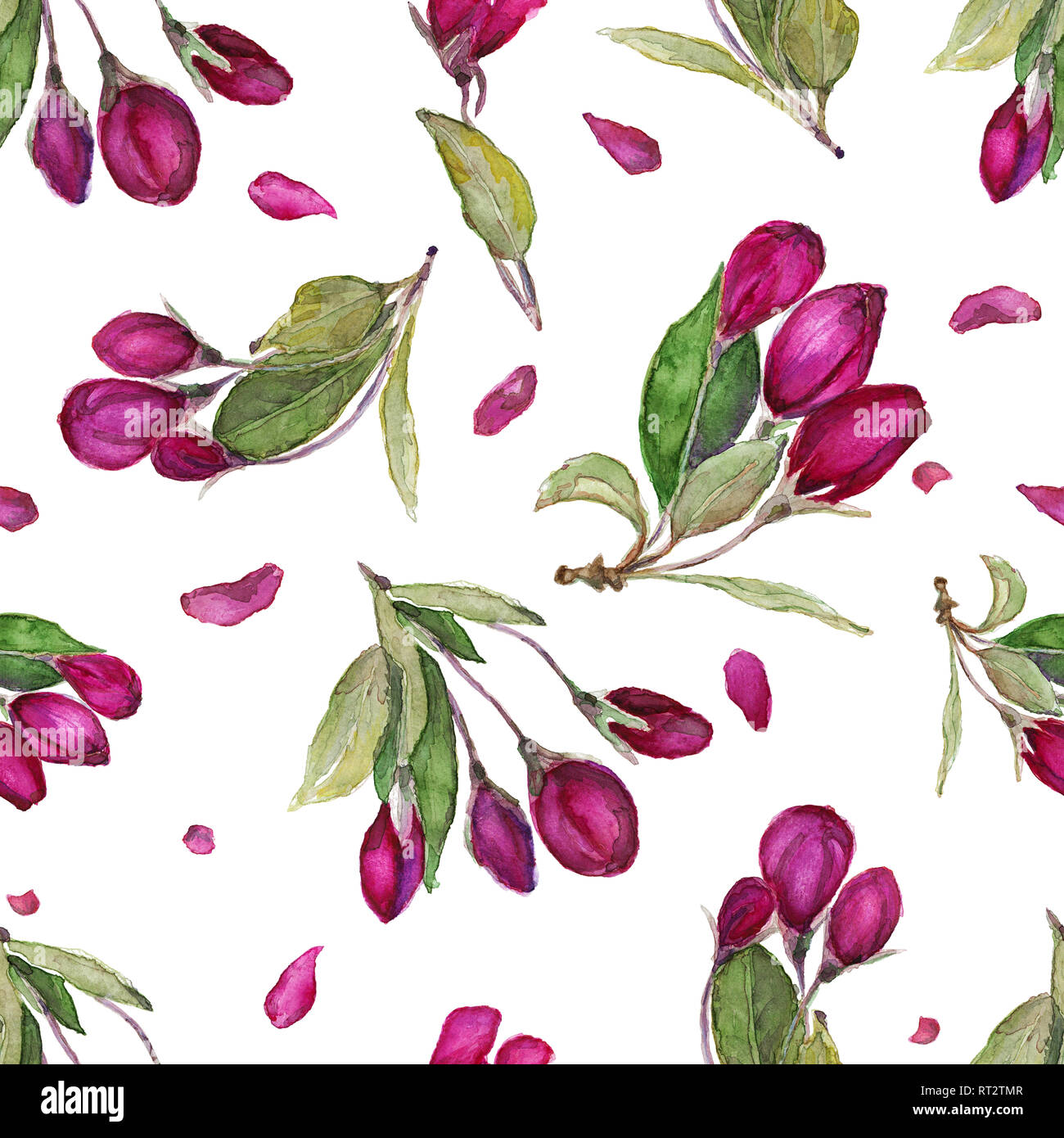 Watercolor seamless floral pattern. Hand drawn blossom apple flowers ...