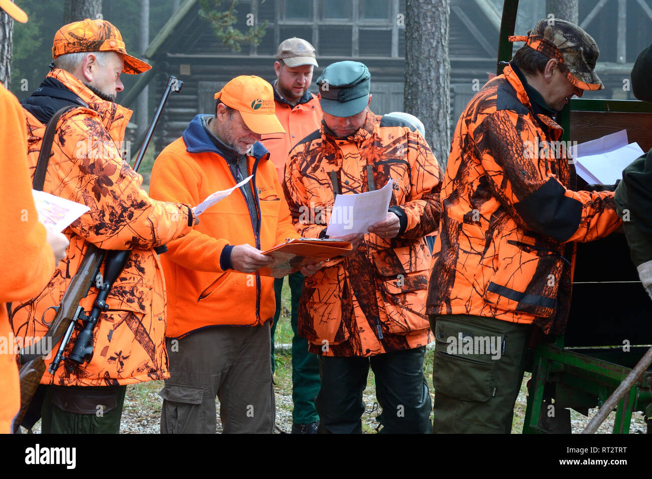Autumnal driven hunt on red deer, hunt, hunting, driven hunt, red deer
