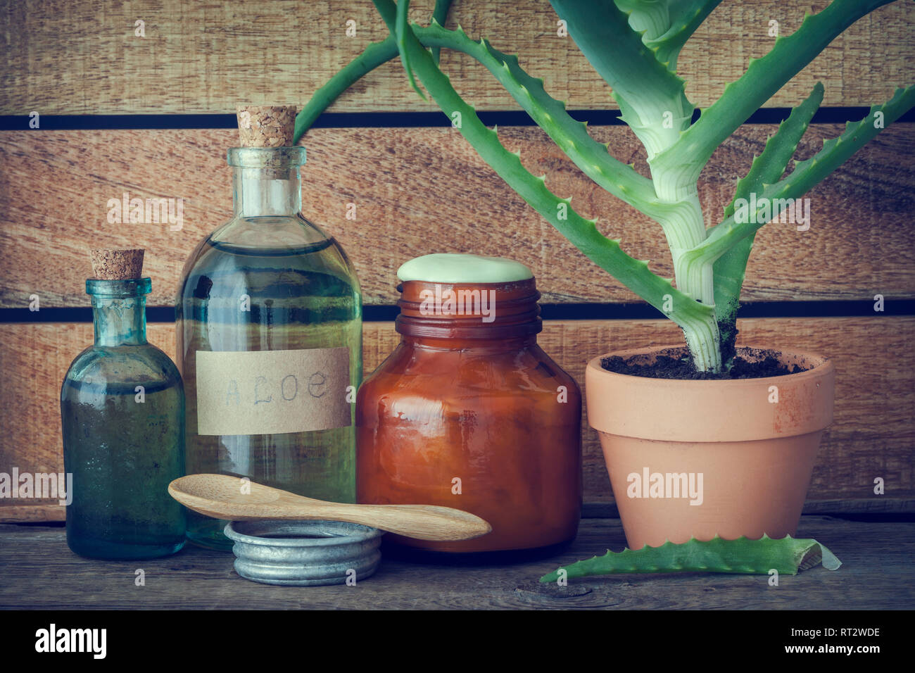 Aloe plant in flowerpot, bottle of organic aloe vera essence, cream or ointment and other products on wooden table. Stock Photo