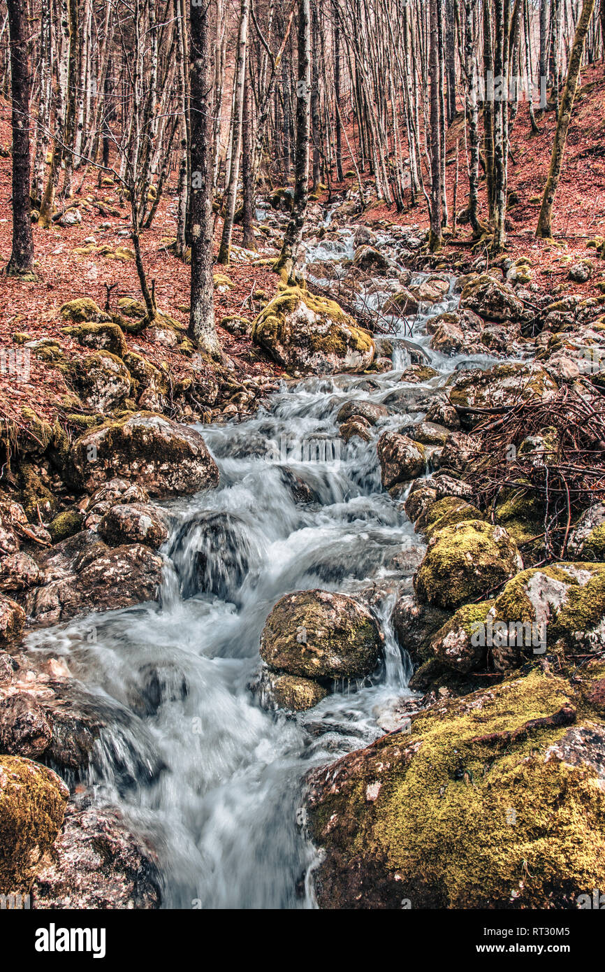 Butiful Stream Beautiful stream in wild nature hi-res stock photography and images - Alamy