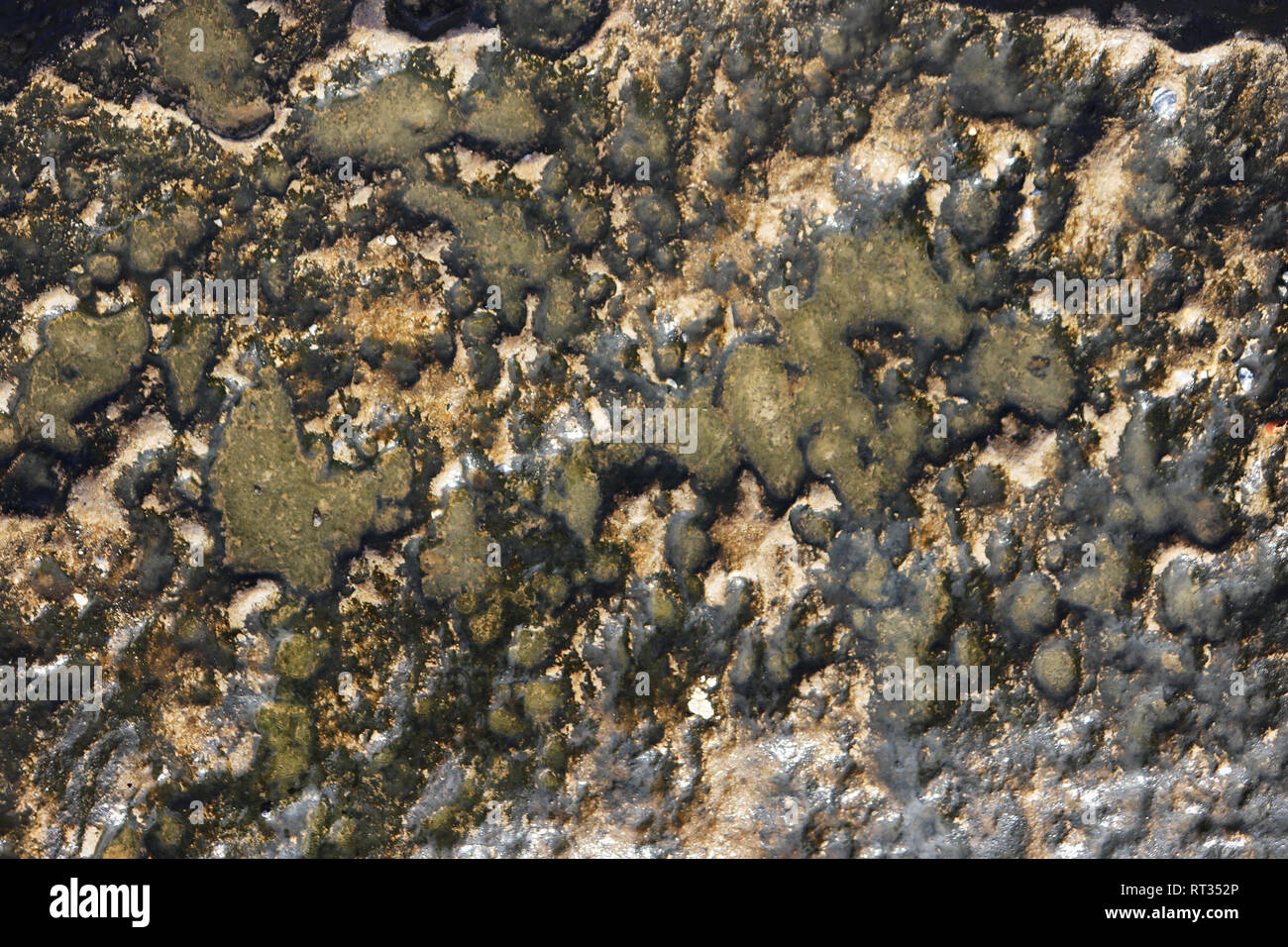Concrete surface texture hi-res stock photography and images - Alamy