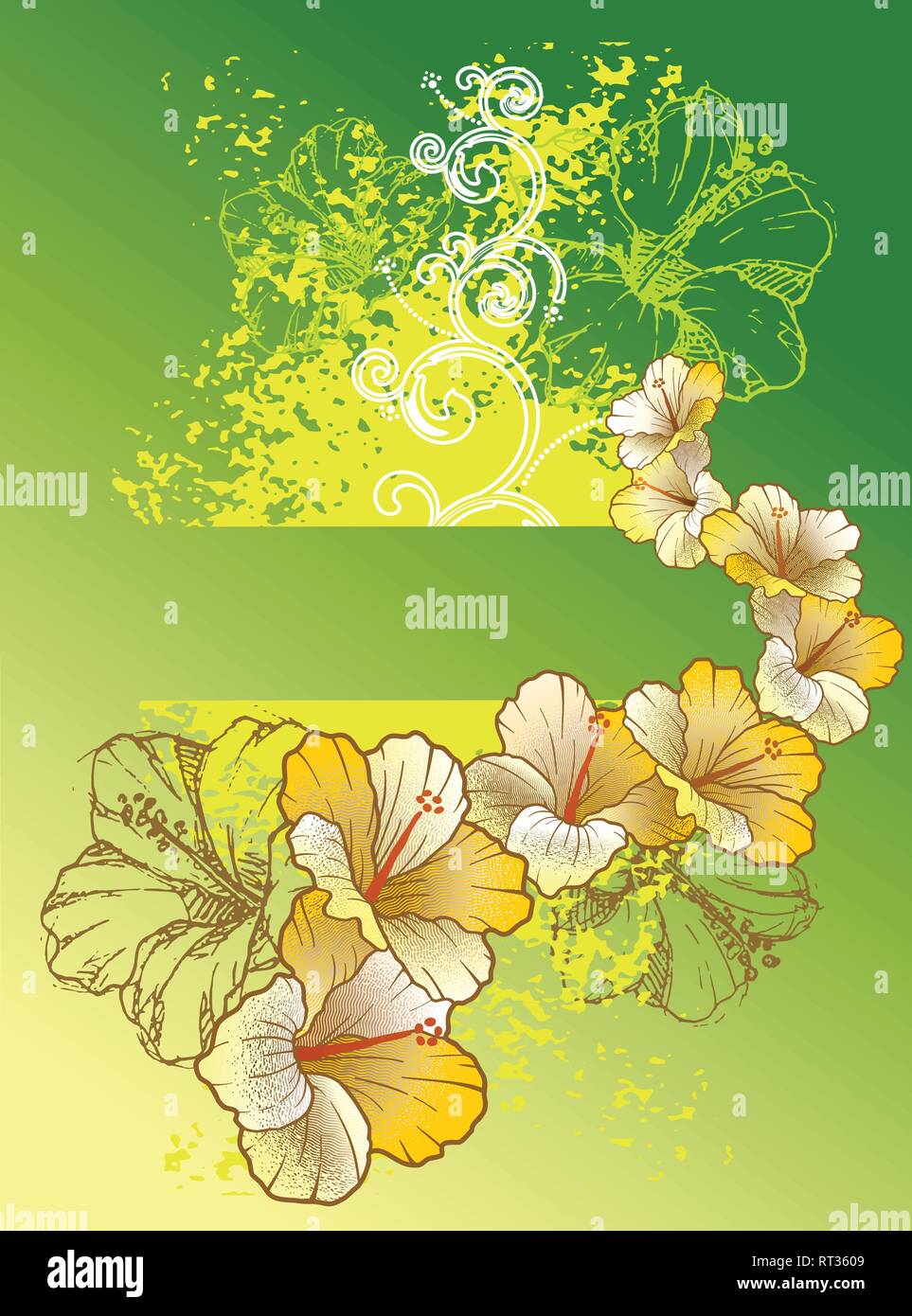 Hibiscus flower decoration Stock Vector Images Alamy