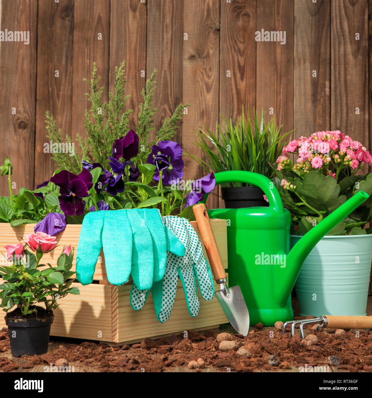 Gardening tools watering can seeds hi-res stock photography and images ...