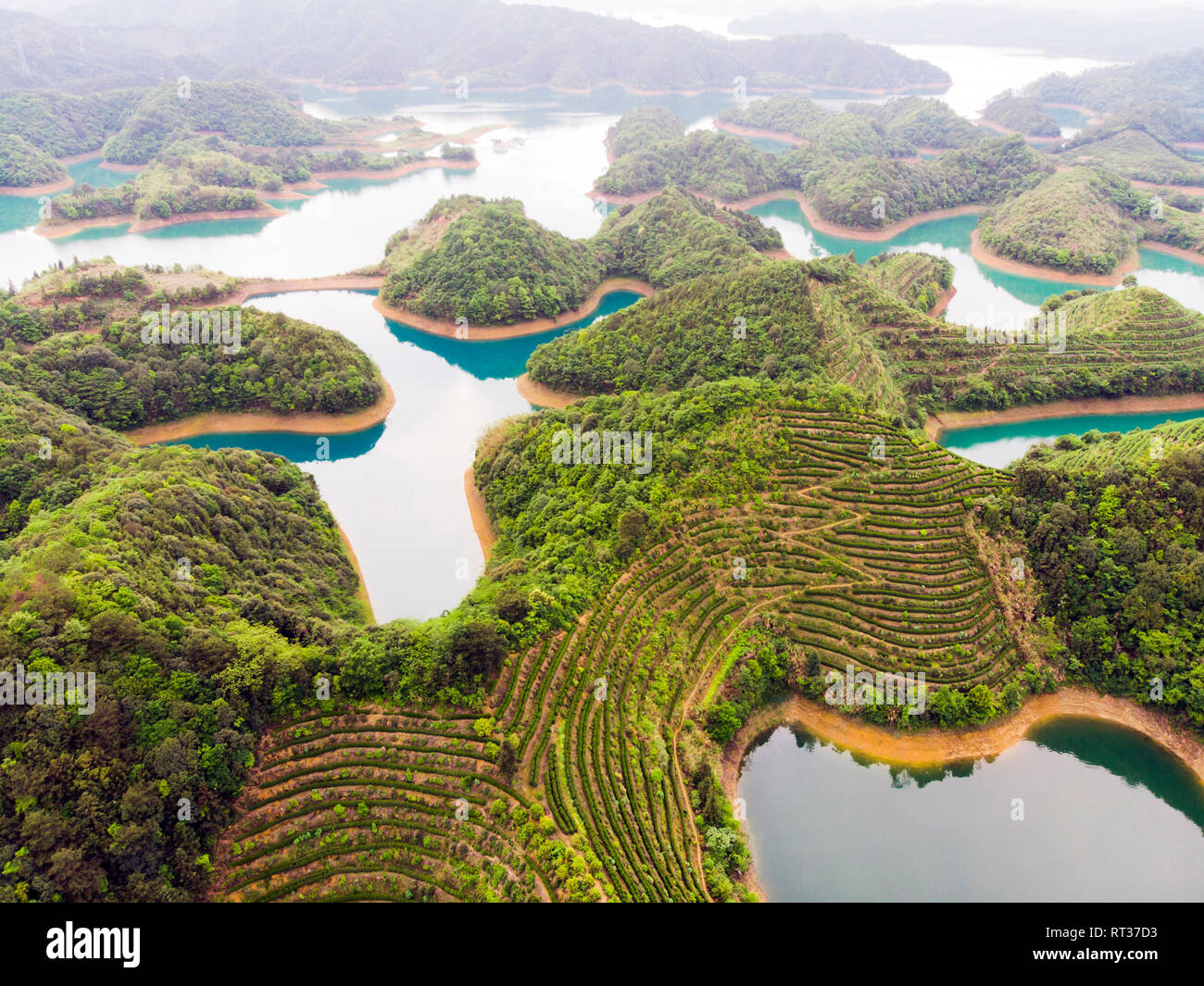 Aerial View of Thousand Island Lake. Bird View of Freshwater Qiandaohu. Tea Fields on Islands in Chun’an Country, Hangzhou, Zhejiang Province, China M Stock Photo