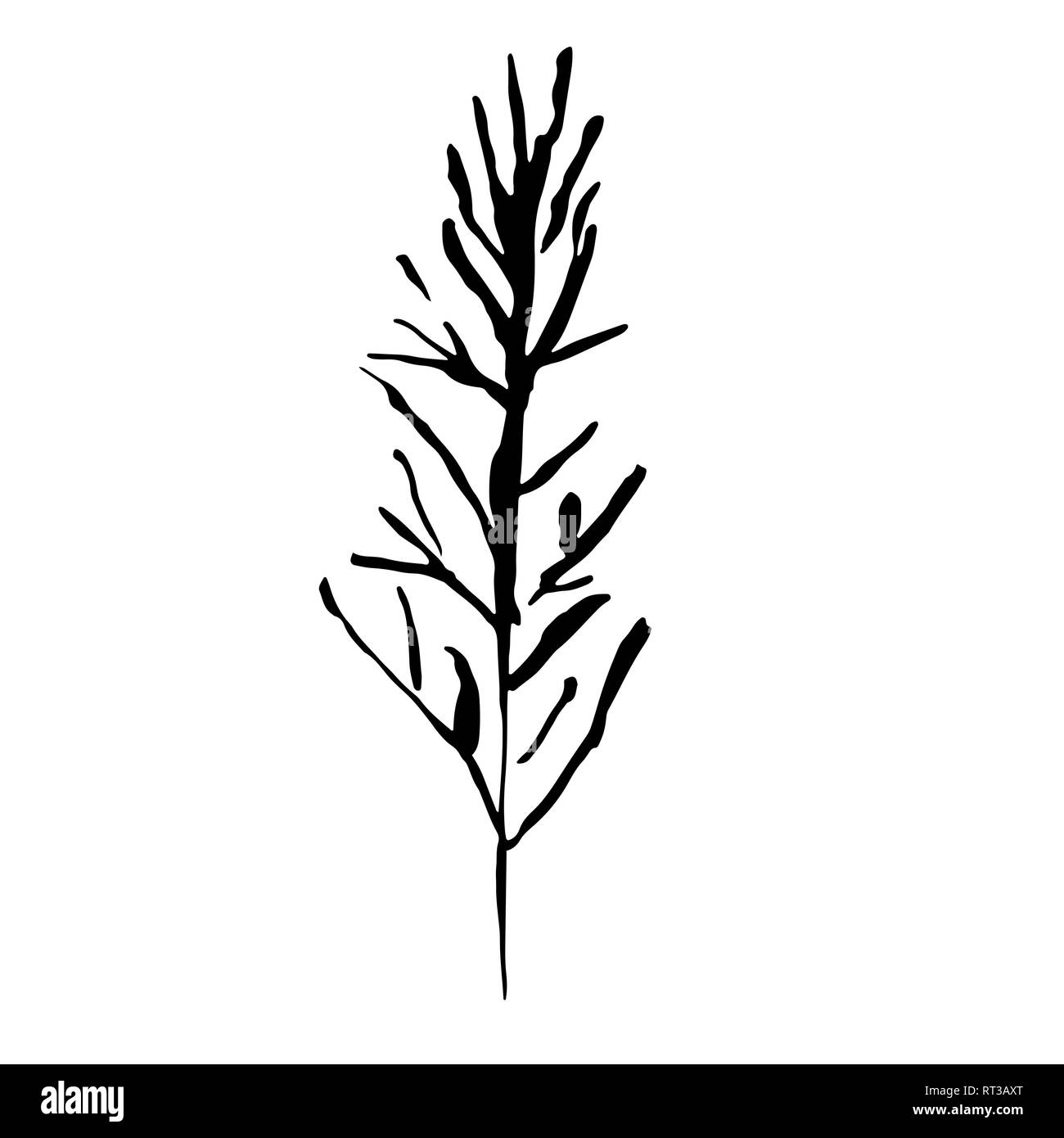 Tree silhouette. Hand drawn vector illustration Stock Vector Image ...