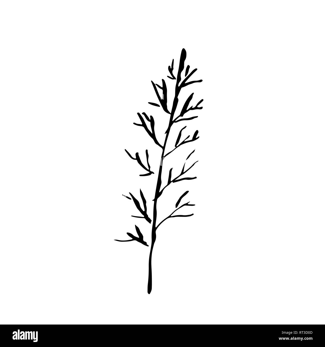 Tree silhouette. Hand drawn vector illustration Stock Vector Image ...