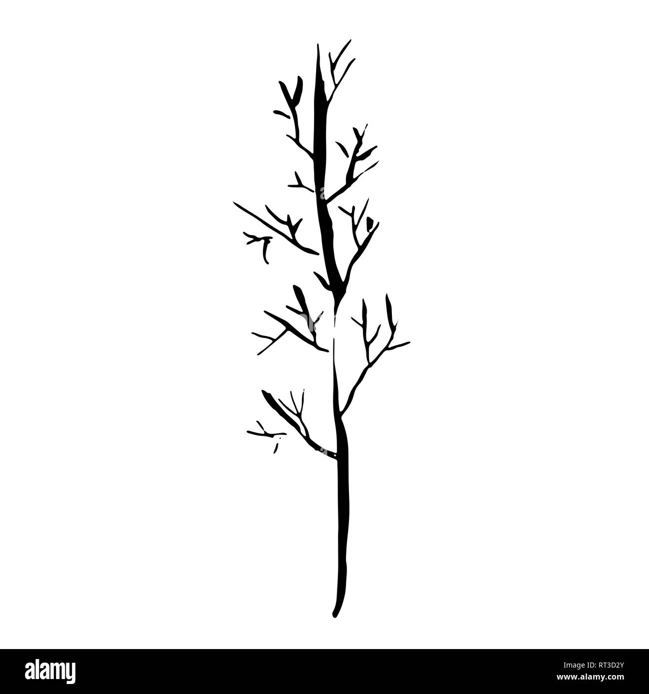 Tree silhouette. Hand drawn vector illustration Stock Vector Image ...