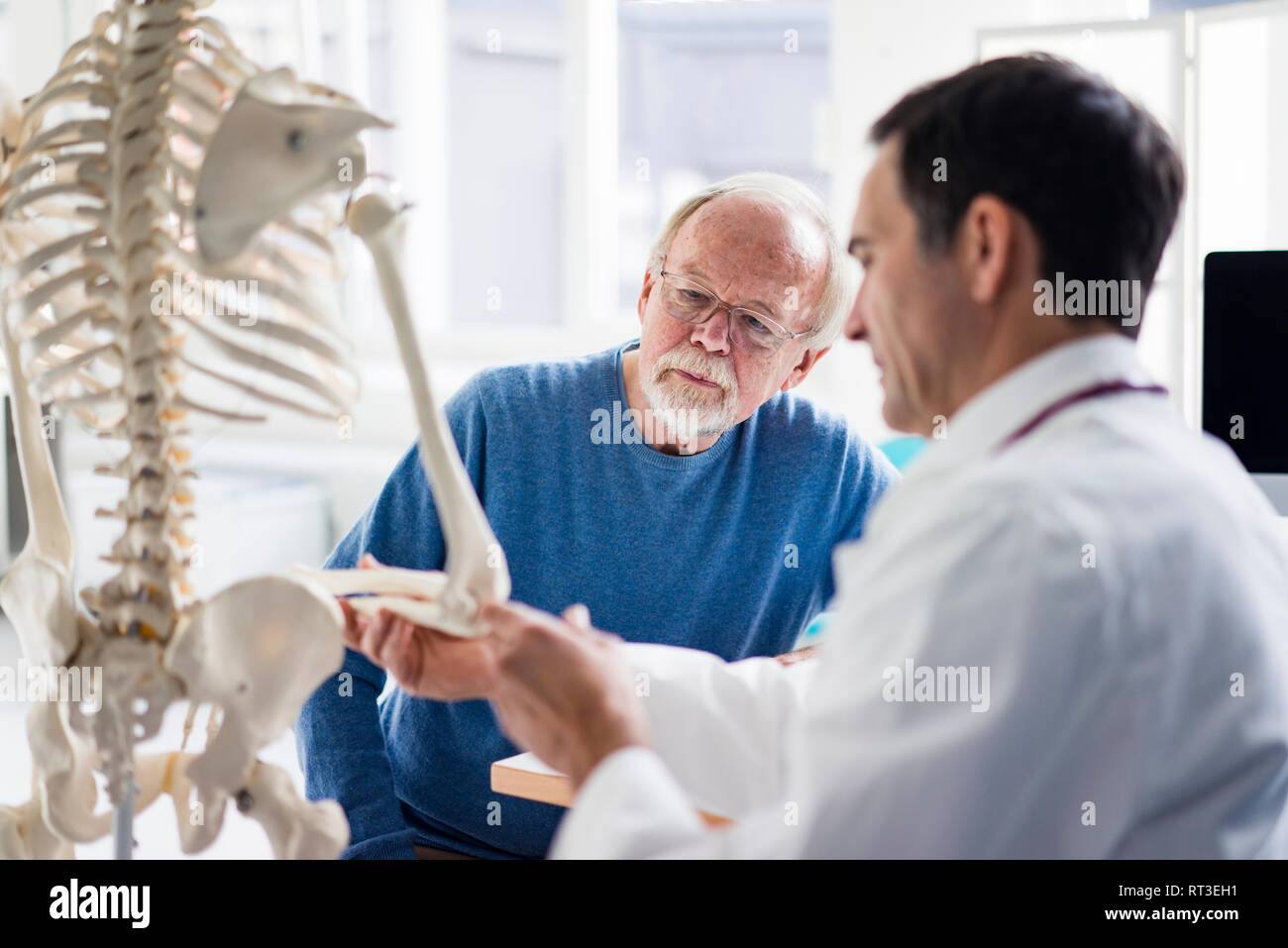 Doctor explaining bones at anatomical model to patient in medical