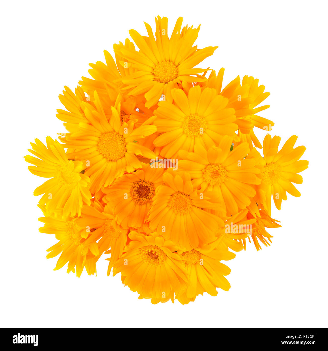 Marigold bouquet isolated on white background Stock Photo - Alamy