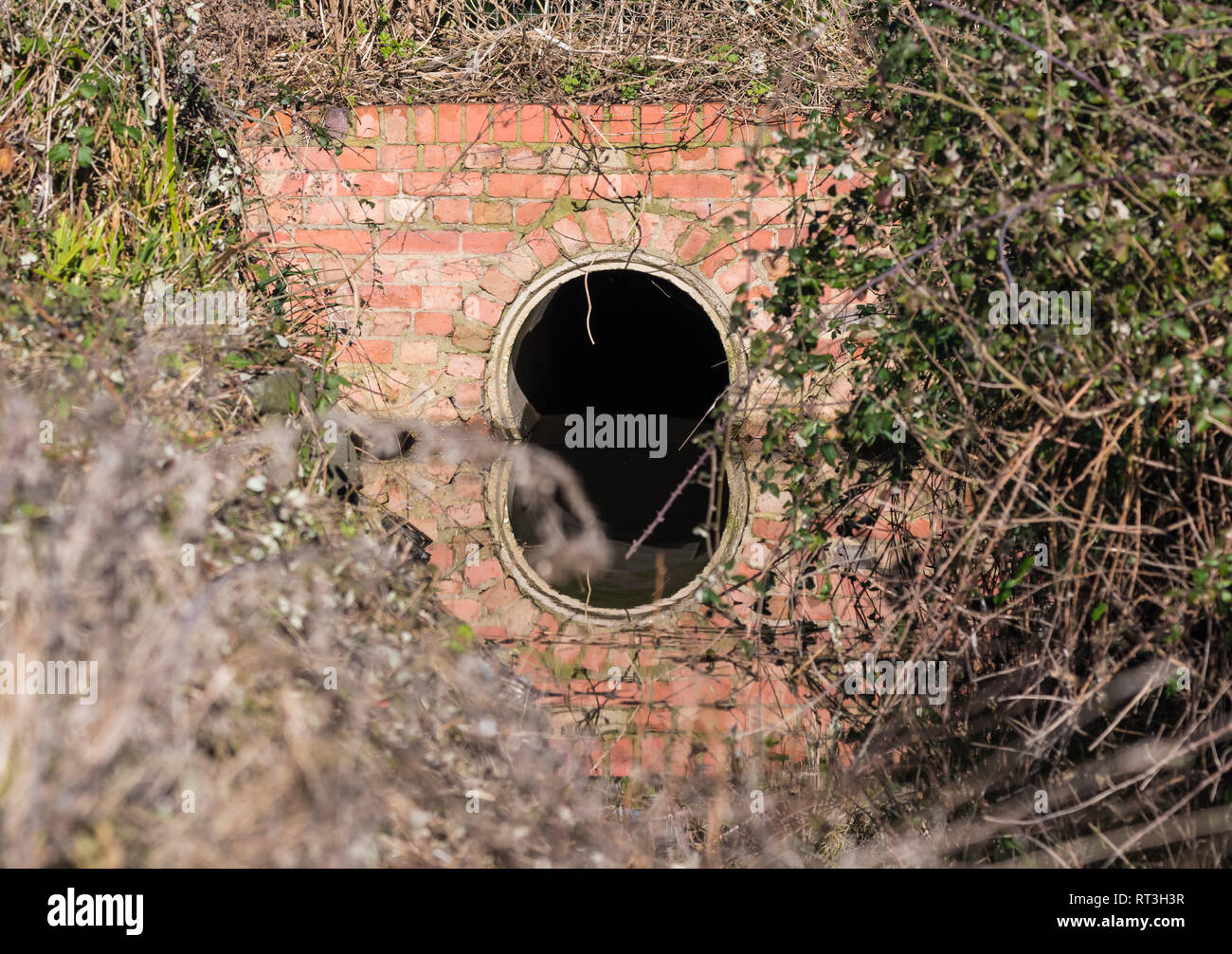 Small red brick water tunnel over a narrow stream, with reflections of