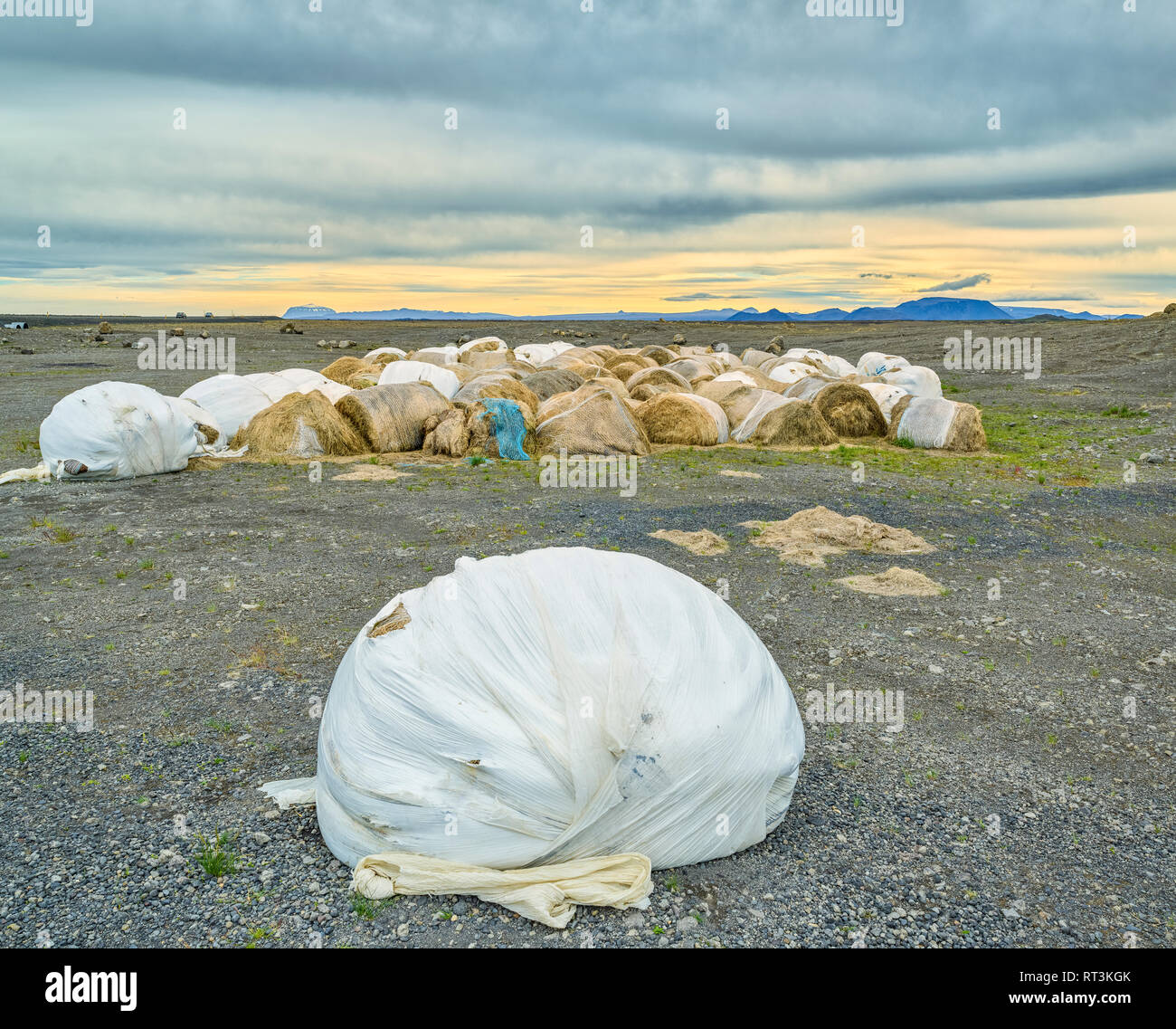 Old rotting hay bales, Northern Iceland Stock Photo