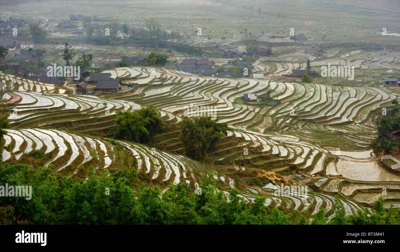 foggy rice terraces in Sa Pa, Vietnam Stock Photo