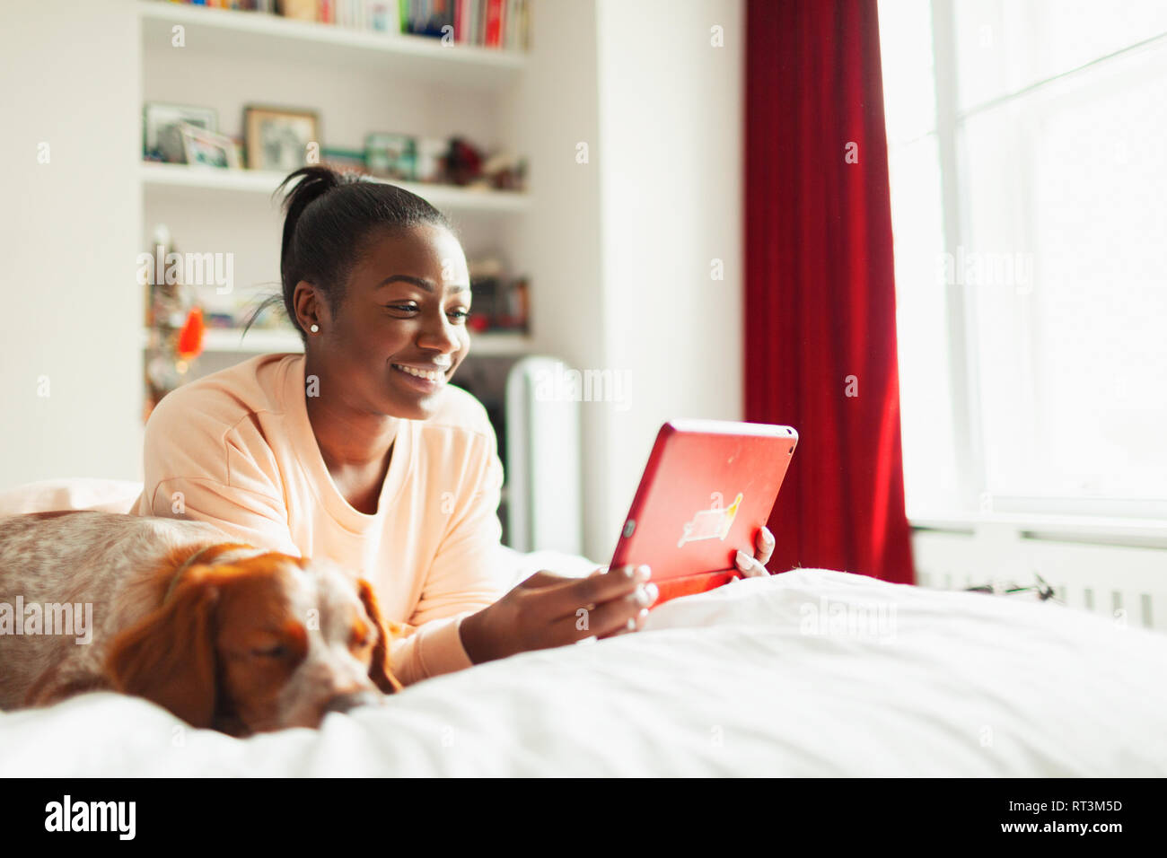 Smiling young woman using digital tablet next to sleeping dog on bed Stock Photo