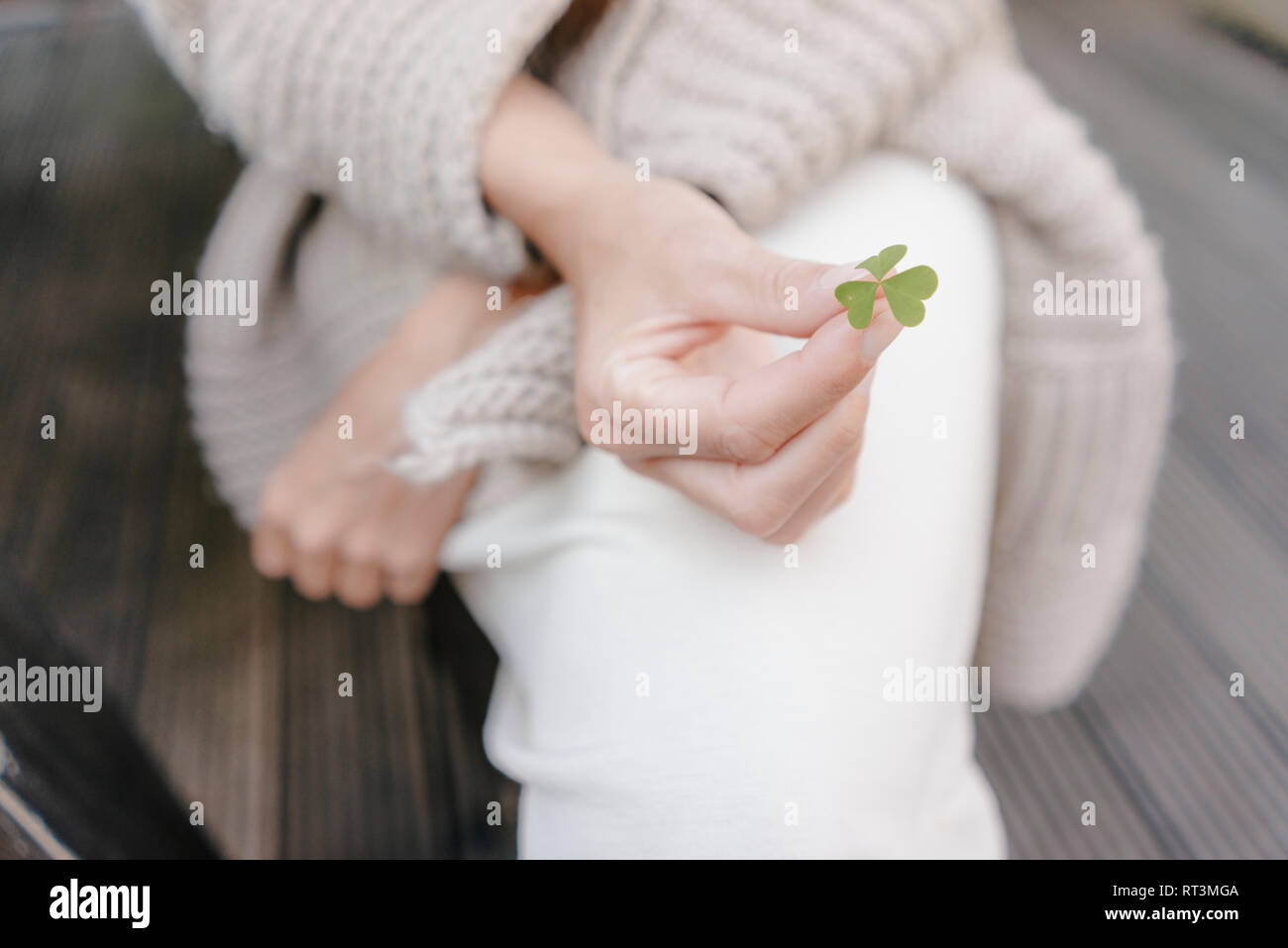 Woman's hand holding cloverleaf, close-up Stock Photo