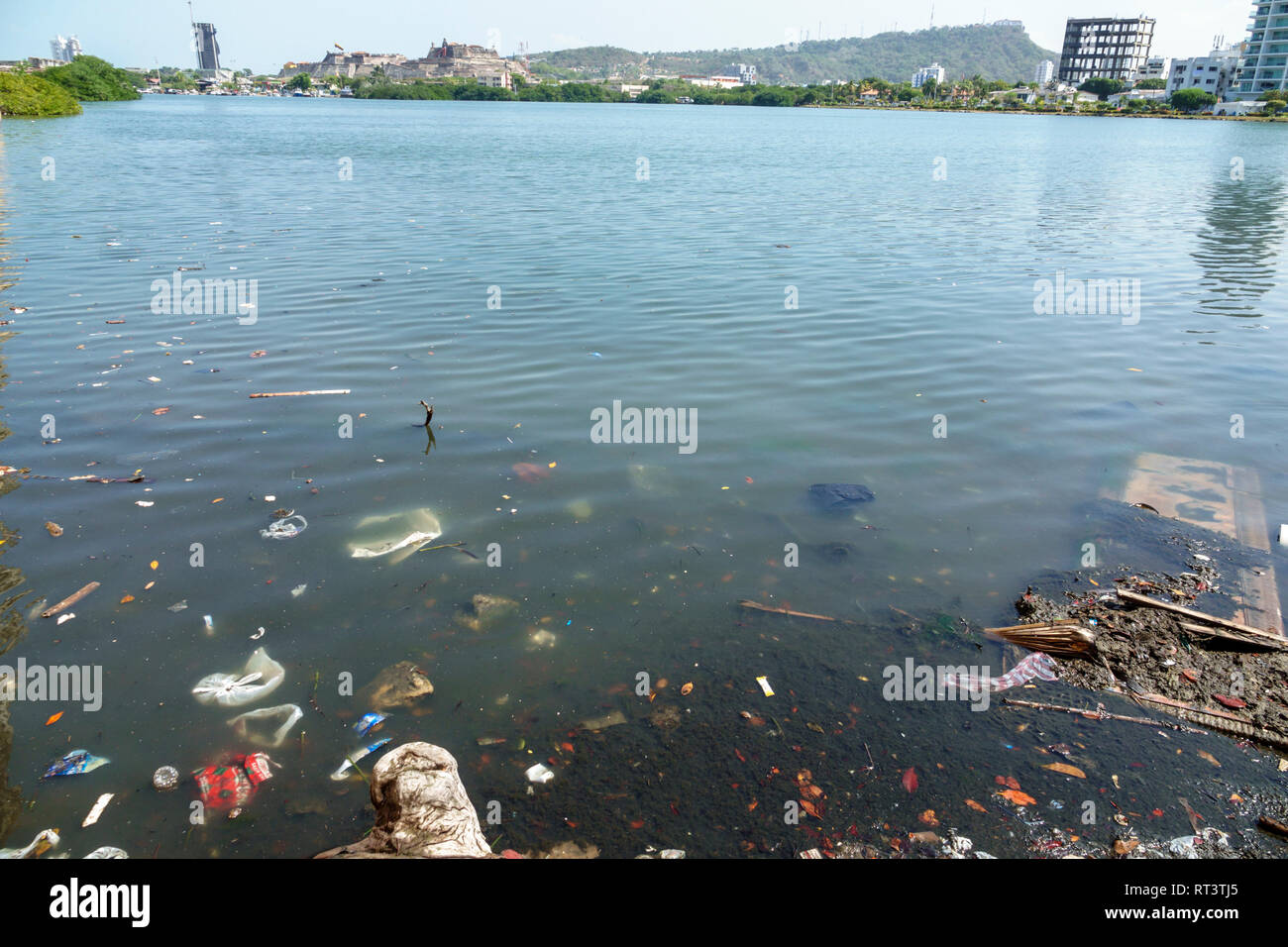 Cartagena Colombia,Center,centre,Getsemani,Laguna de San Lazaro,water,al pollution trash,COL190119029 Stock Photo