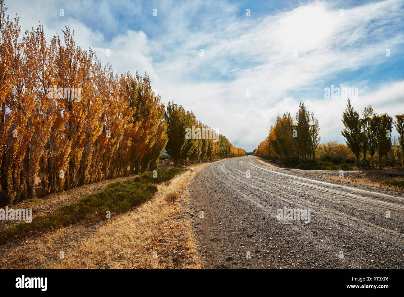 Argentina, Lago Posadas, gravel road with autumnal trees Stock Photo