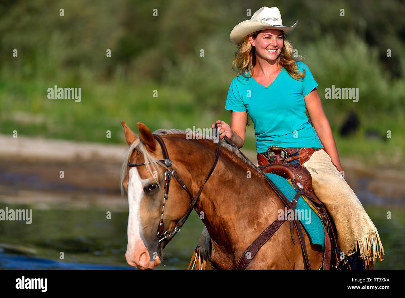 Kate rides Lux across the shallow section of rhe Clark Fork River Stock Photo