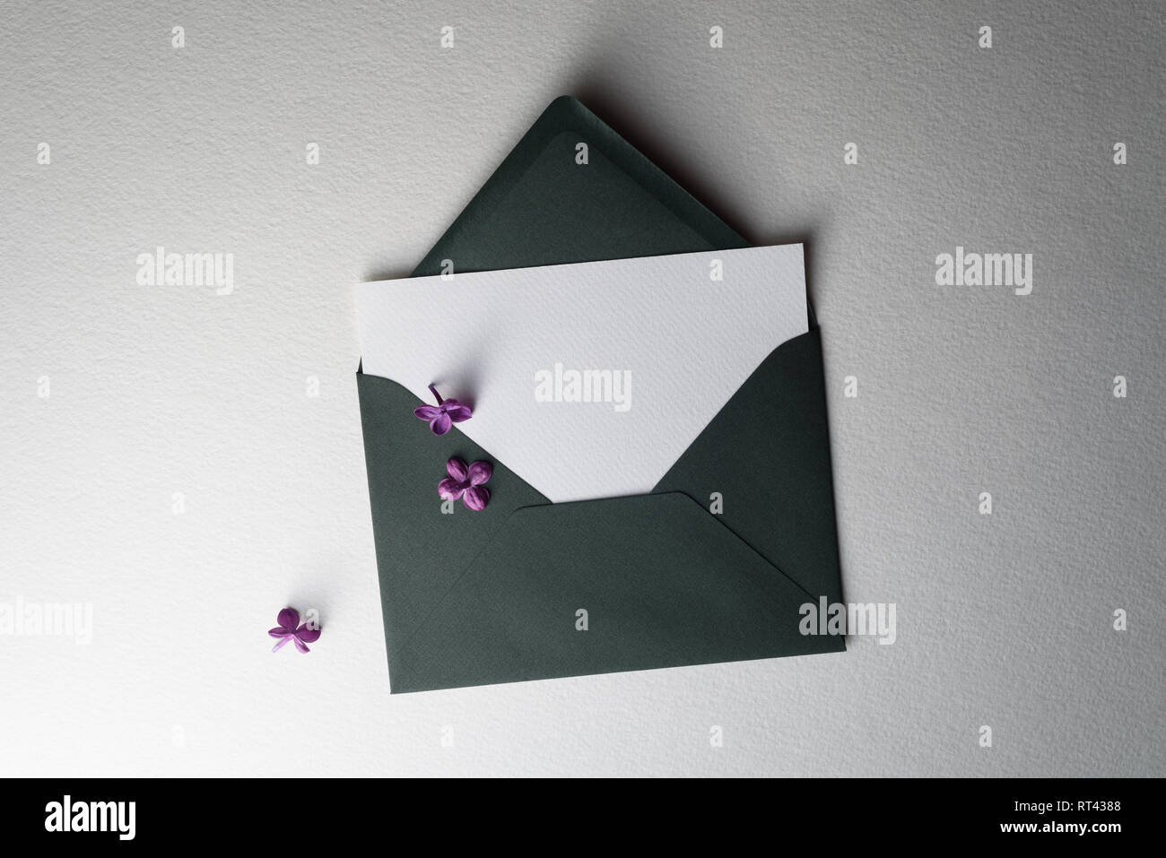 Spring card in envelope with lilac flowers. White sheet of paper ...