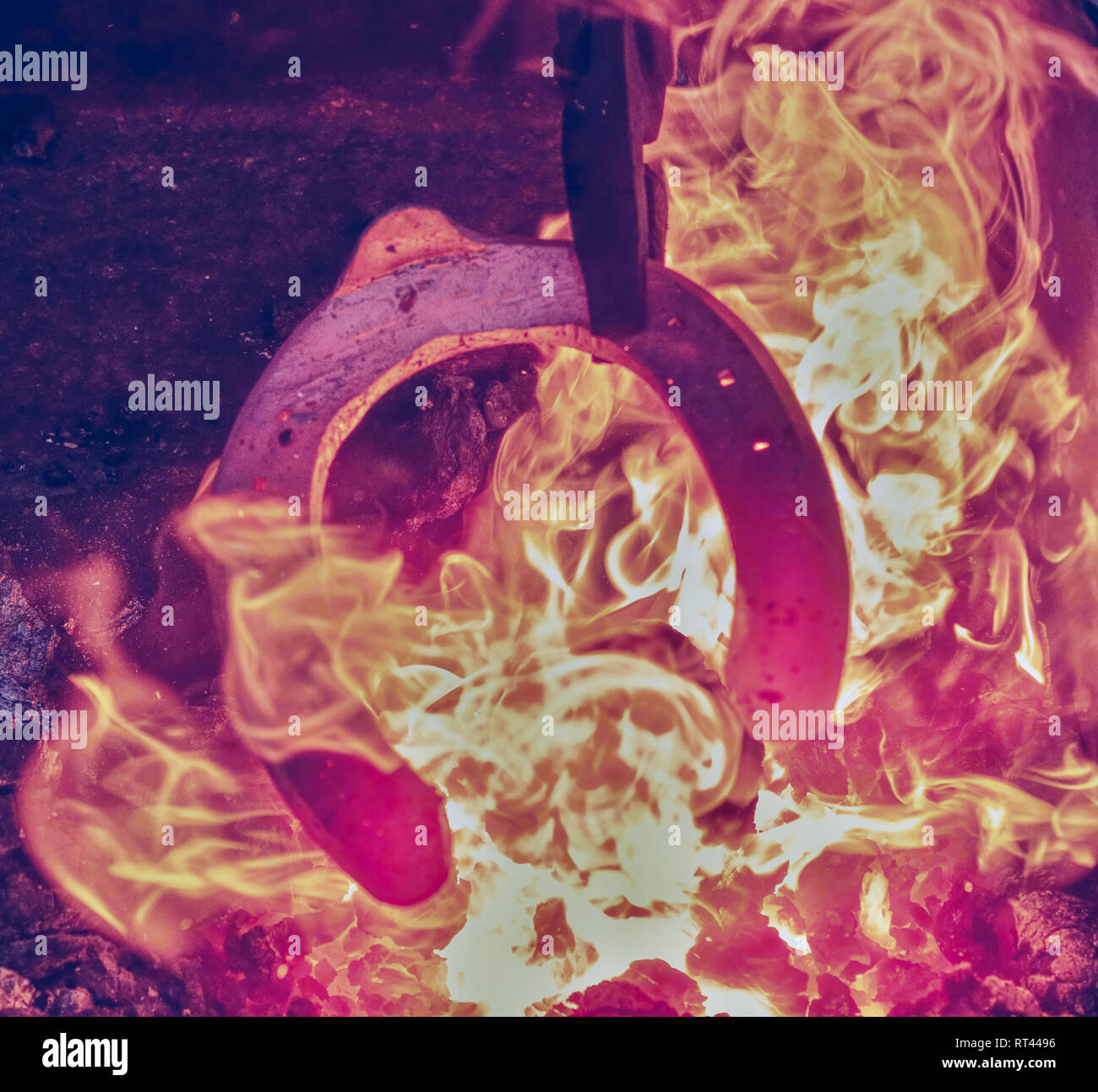 Iron bar heating in old fashioned blacksmith furnace with burning coals