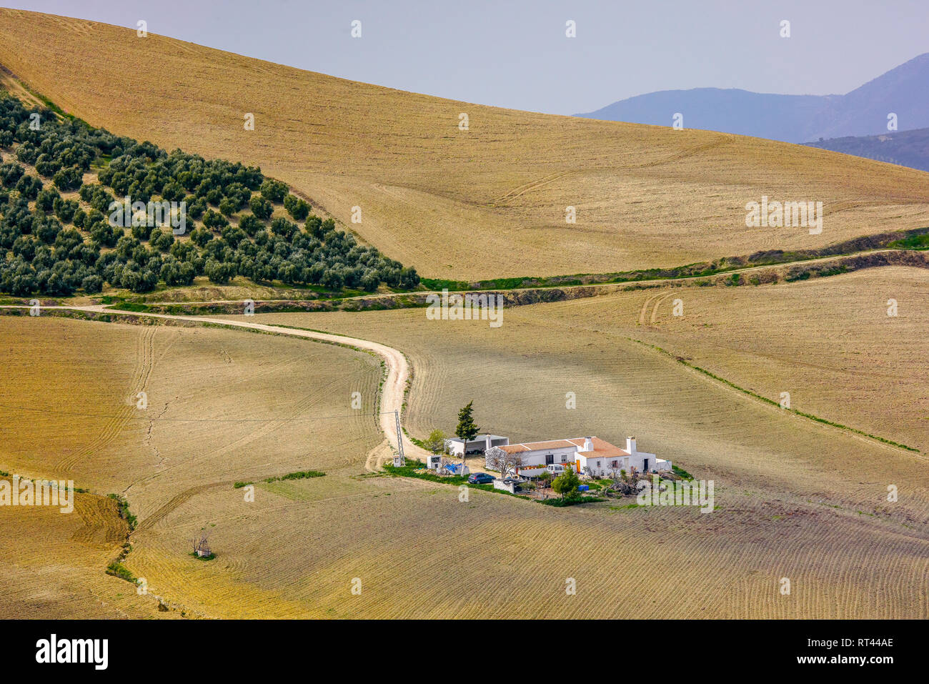 Landscape round Acinipo Roman theatre Ronda la Vieja Mlaga, Province Andalusia, Spain, Stock Photo