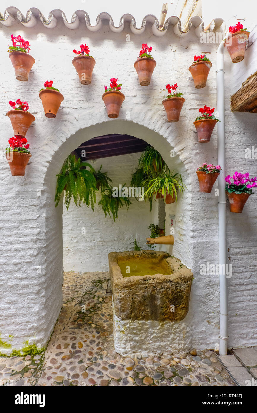 Historic courtyard housing the Fosforito flamenco museum, Cordoba, Spain Stock Photo