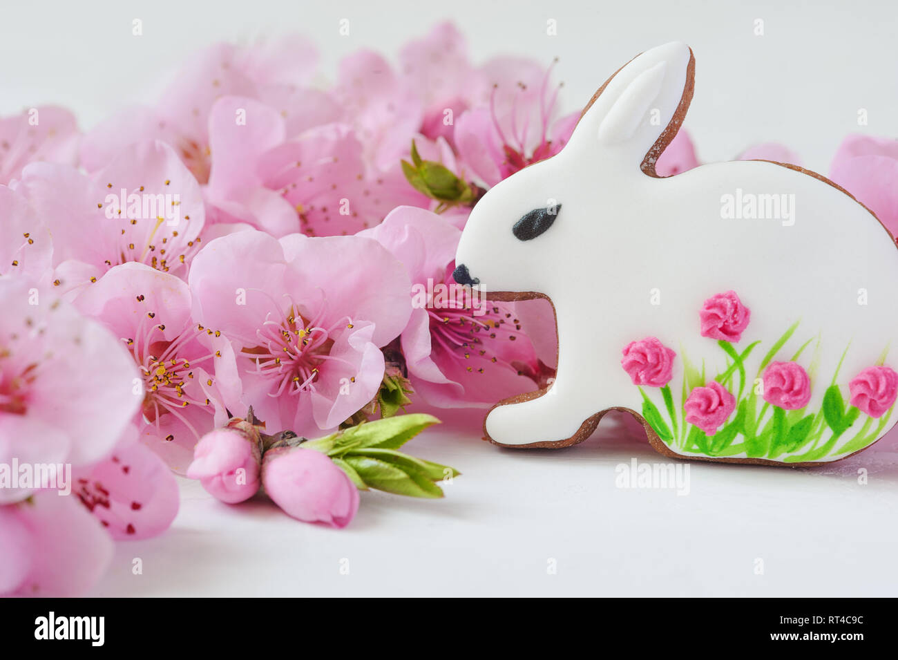 easter concept. gingerbread bunny surrounded by spring flowers Stock Photo