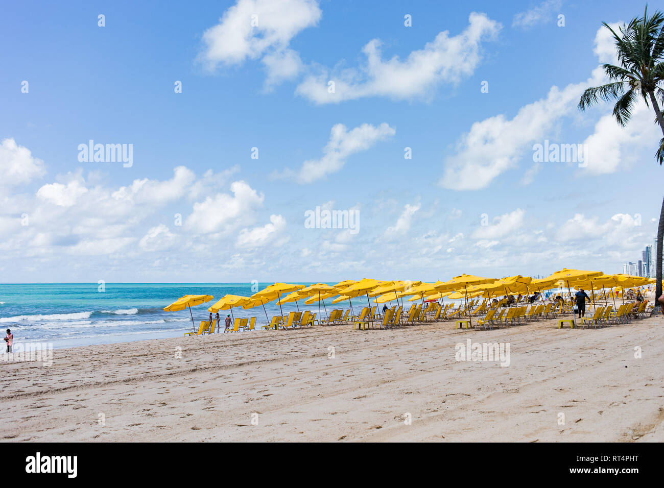 The beach of Recife, a beautiful Beach Town  in the North of Brazil Stock Photo