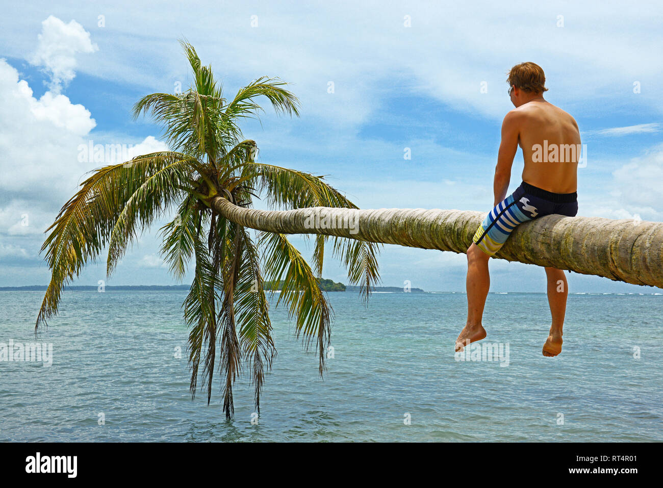 A young caucausian male tourist sitting on the trunk of a palm tree along the Caribbean Sea in Bocas del Toro, Panama, Central America. Stock Photo