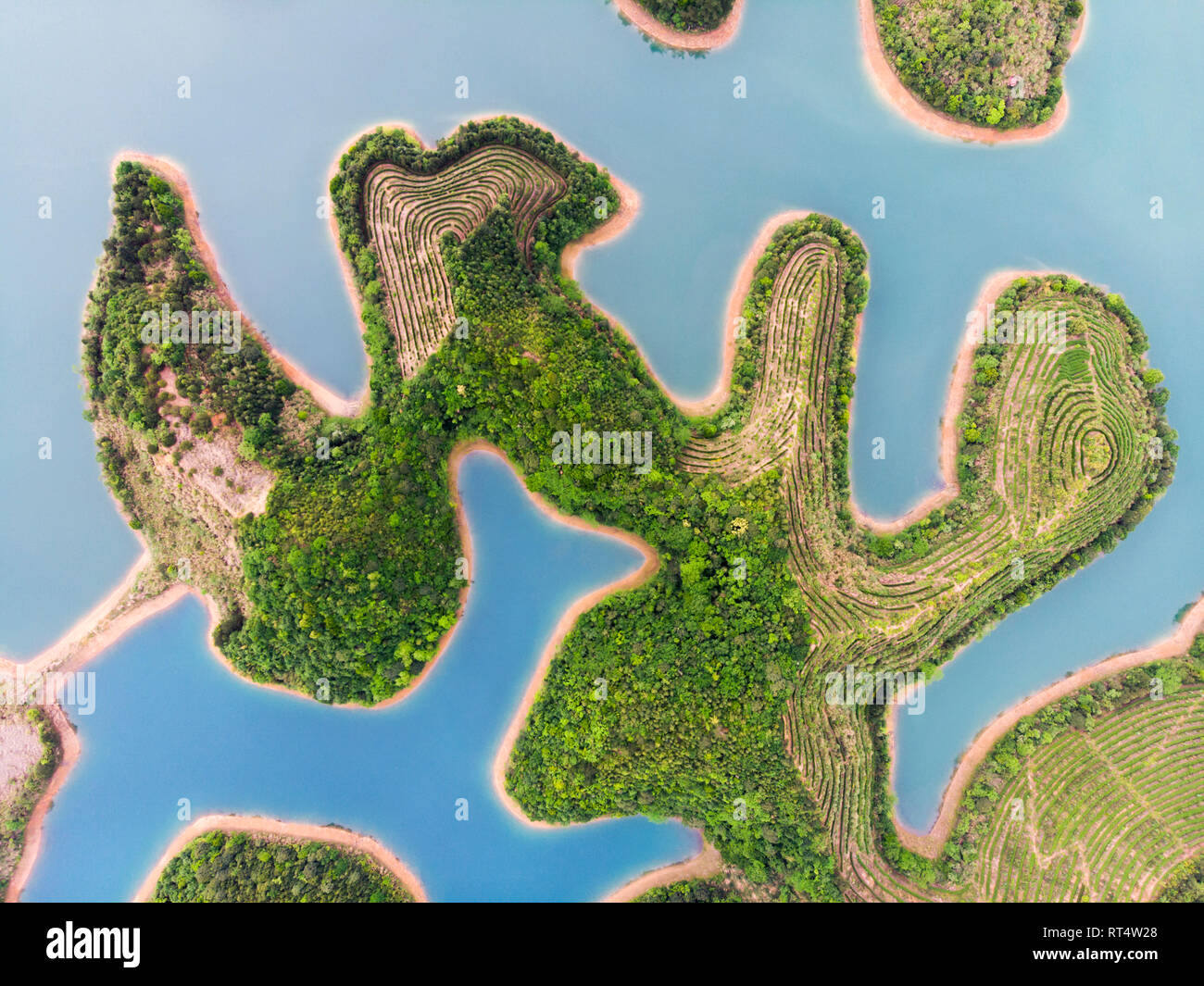 Aerial View of Thousand Island Lake. Top View of Freshwater Qiandaohu. Tea Islands in Chun’an Country, Hangzhou, Zhejiang Province, China. Stock Photo