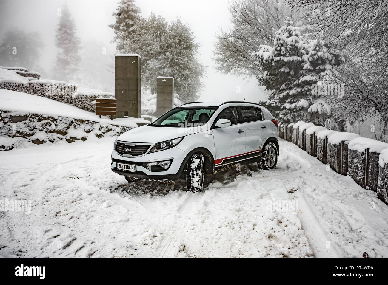 Kia Sportage 2 0 Crdi Awd Or 4x4 White Color In A Forest