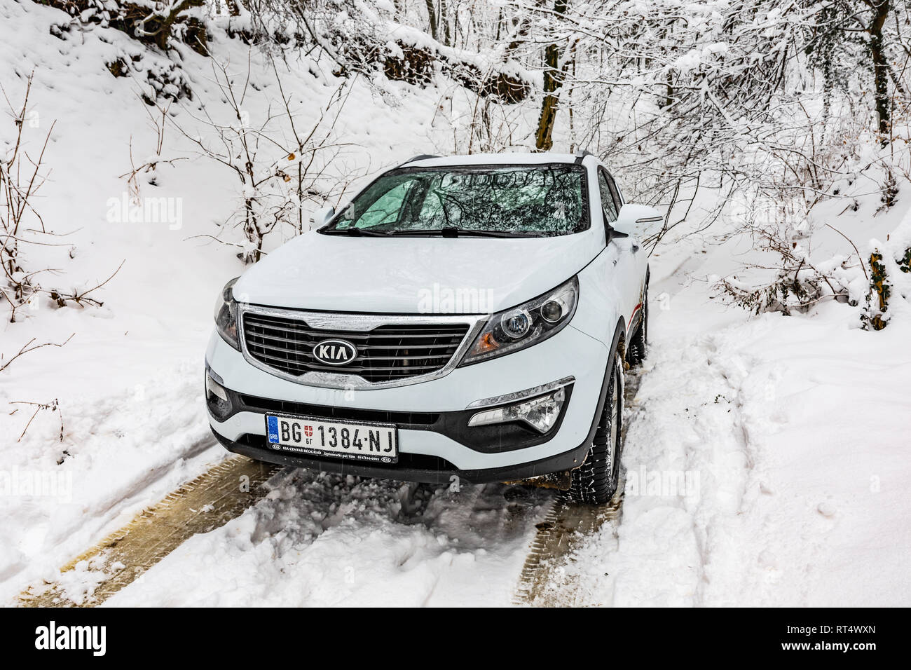 Kia Sportage 2.0 CRDI awd or 4x4, white color, in a forest road, covered with deep snow and ice. Extreme conditions and temperatures below -10 Stock Photo