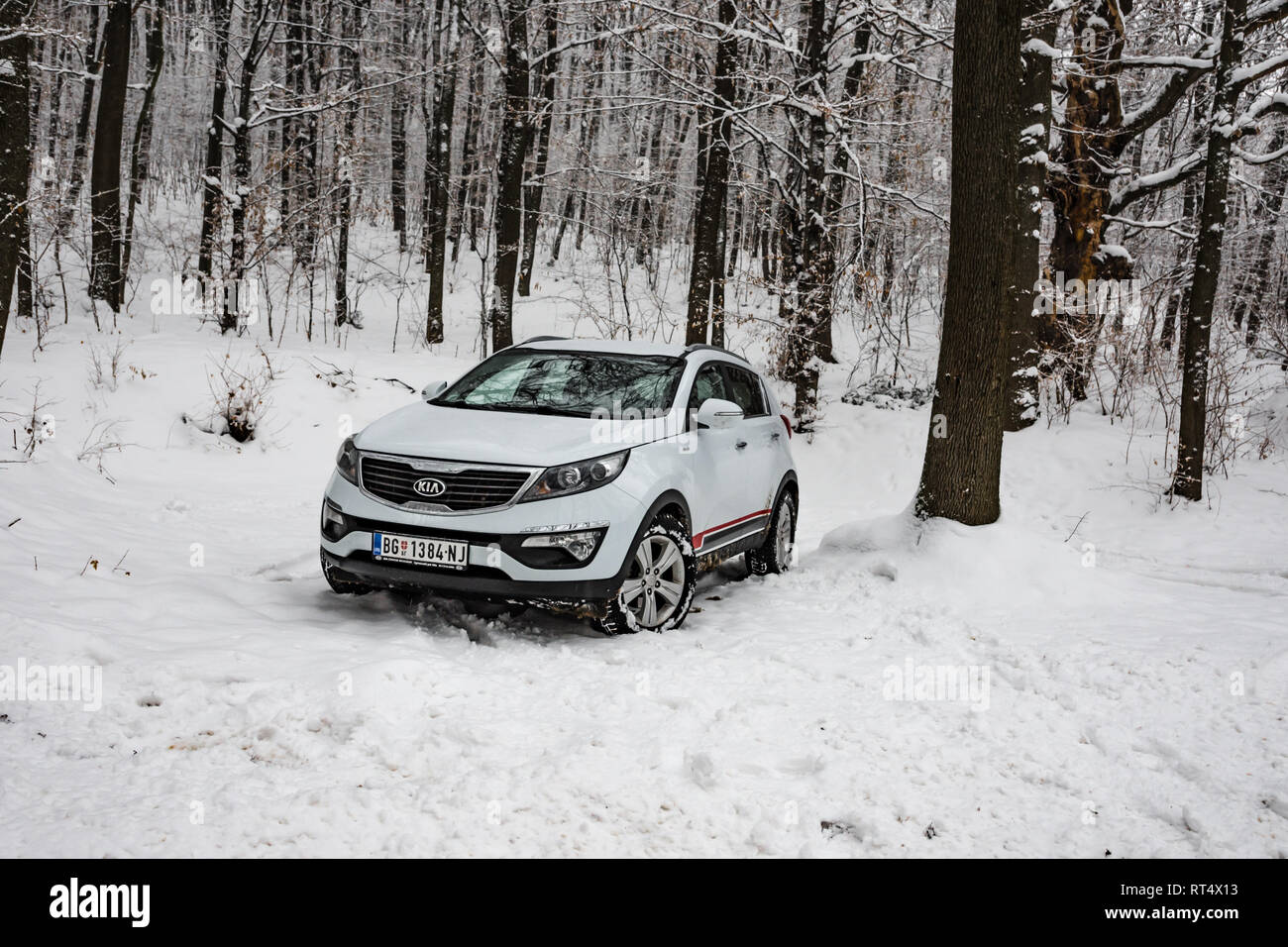 Kia Sportage 2 0 Crdi Awd Or 4x4 White Color In A Forest