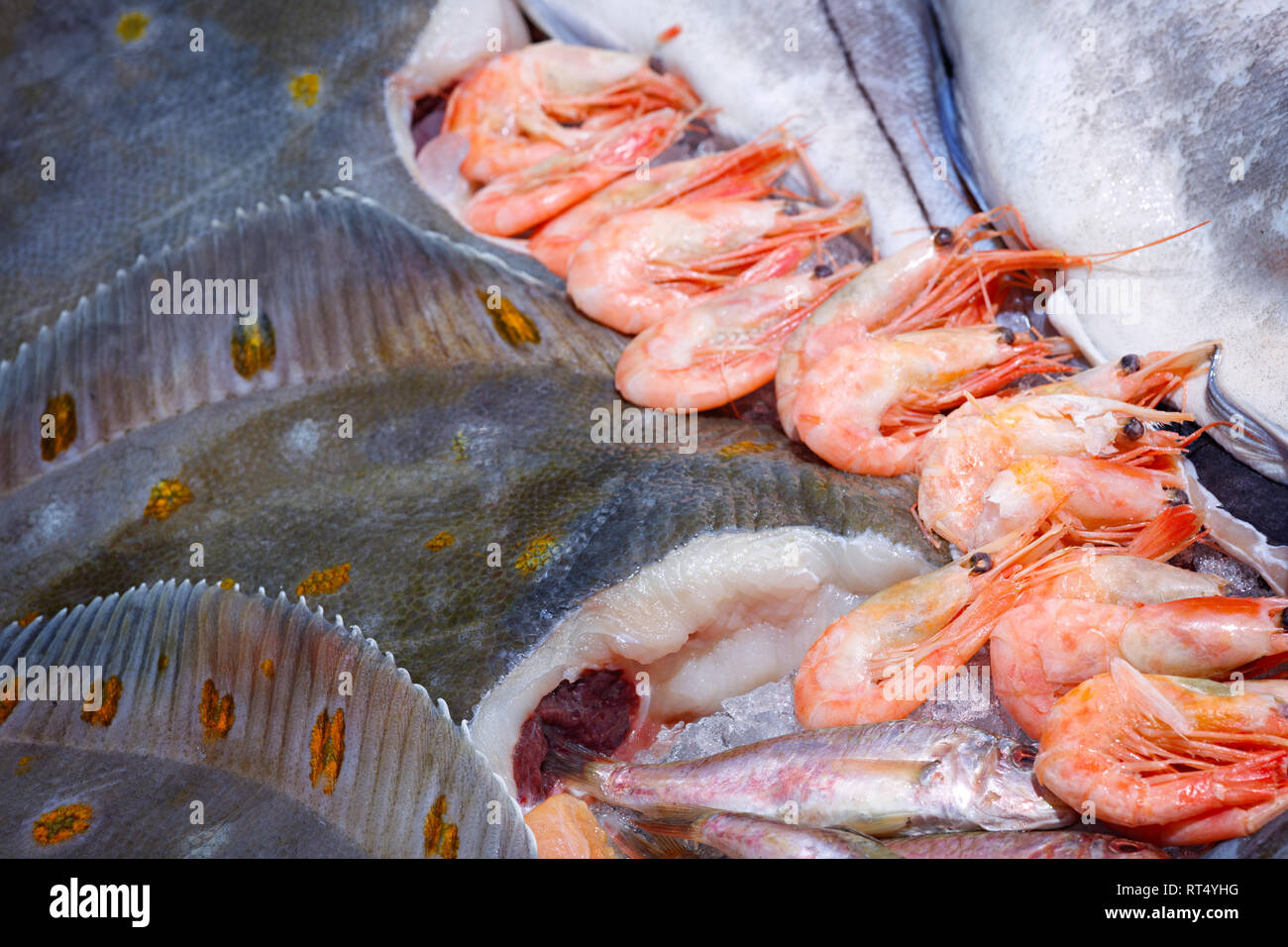 showcase of seafood in the sea market Stock Photo Alamy