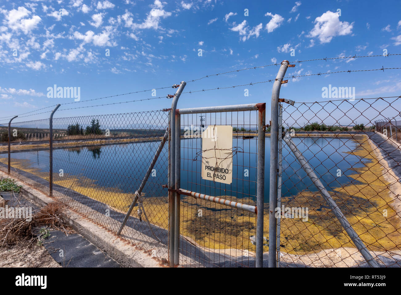 Water pool for watering olive trees fields, Jaen Province, Andalucia, Spain Stock Photo