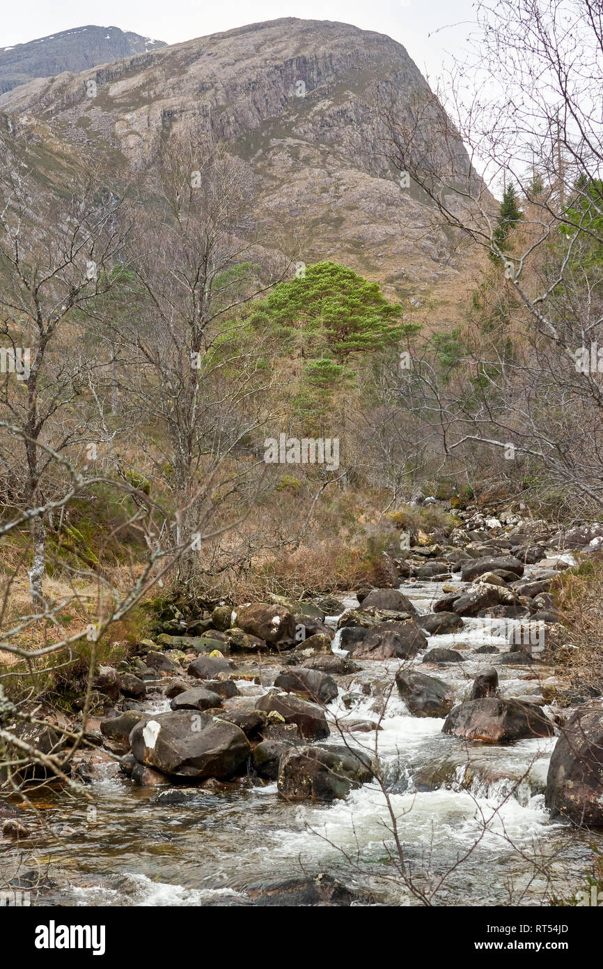 ACHNASHELLACH WESTER ROSS SCOTLAND FUAR THOLL MOUNTAIN AND THE RIVER LAIR Stock Photo
