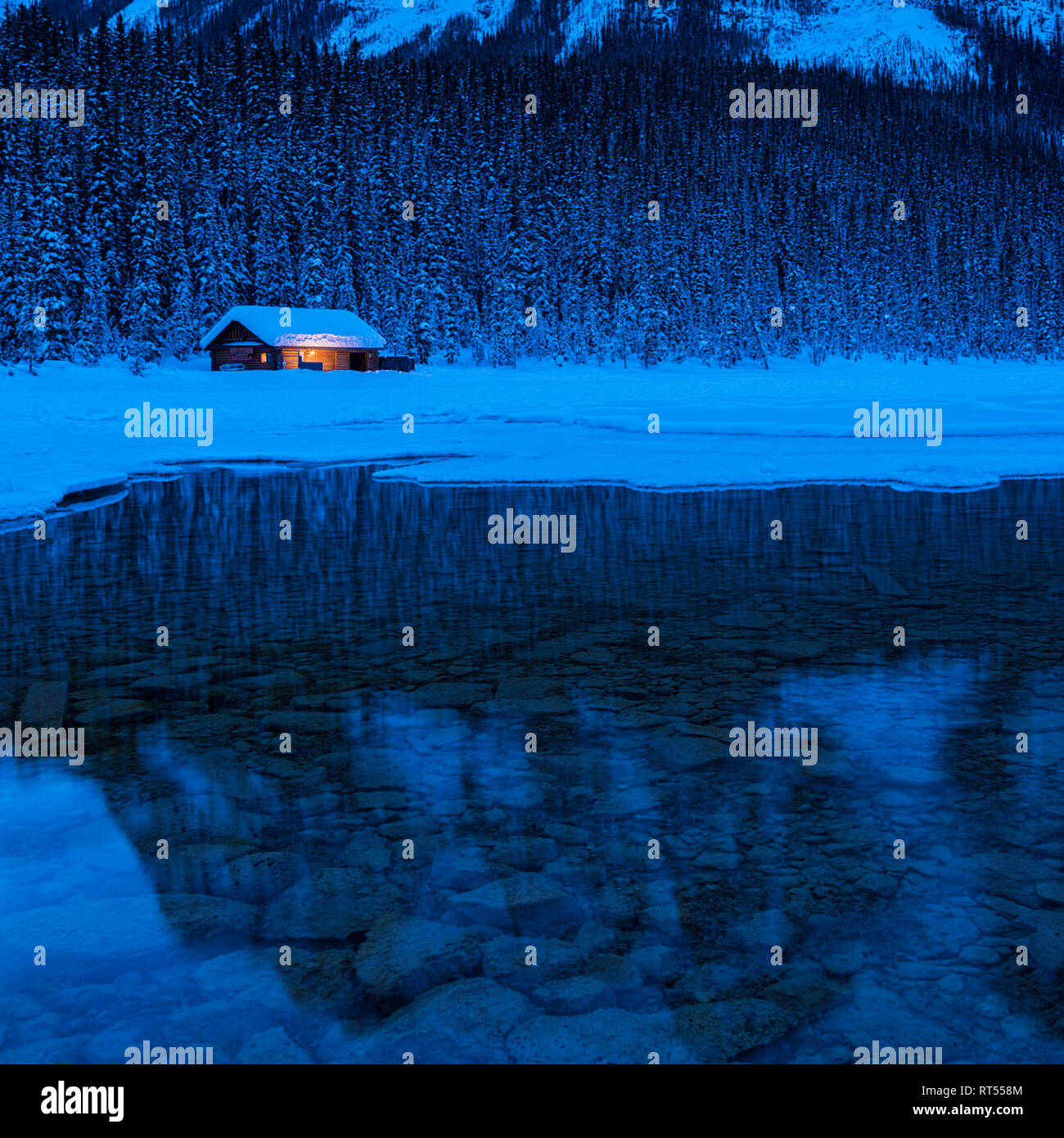 Cabin on the edge of a pine forest on the shore of Lake Louise in Winter during the blue hour before dawn, Banff National Park, Alberta, Canada Stock Photo