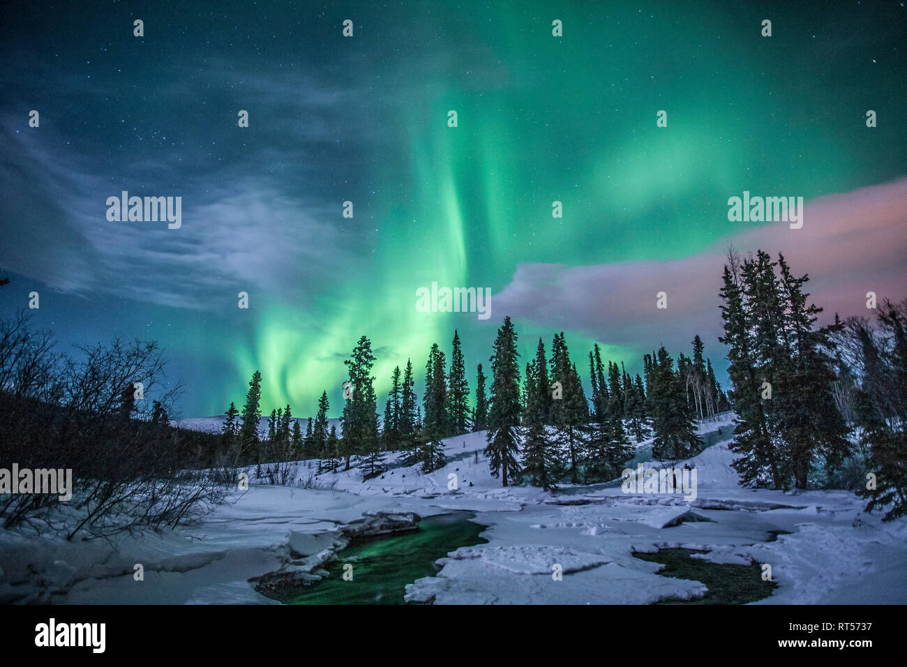 Northern lights above Fish Lake, Whitehorse, Yukon, Canada Stock Photo