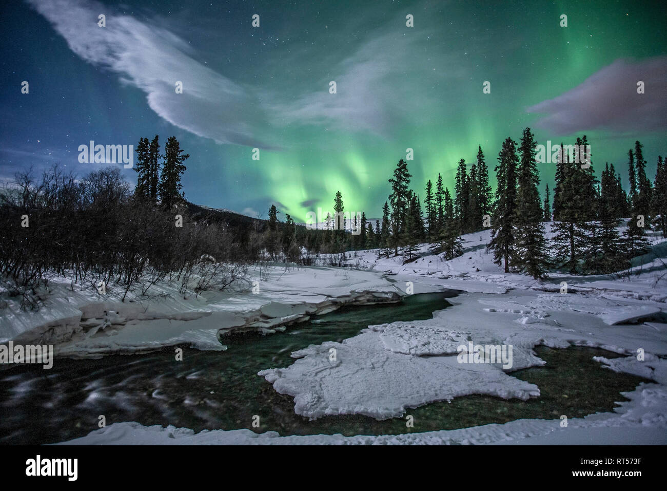 Northern lights above Fish Lake, Whitehorse, Yukon, Canada Stock Photo