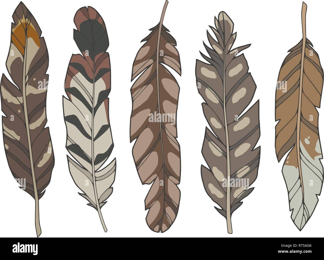 Cartoon style illustration vector set of different natural brown eagle