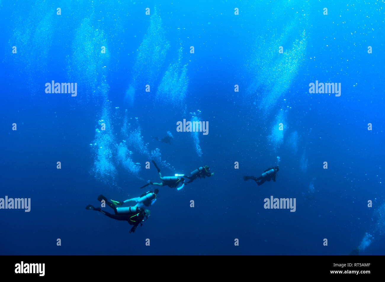 Deep sea diver female hi-res stock photography and images - Alamy