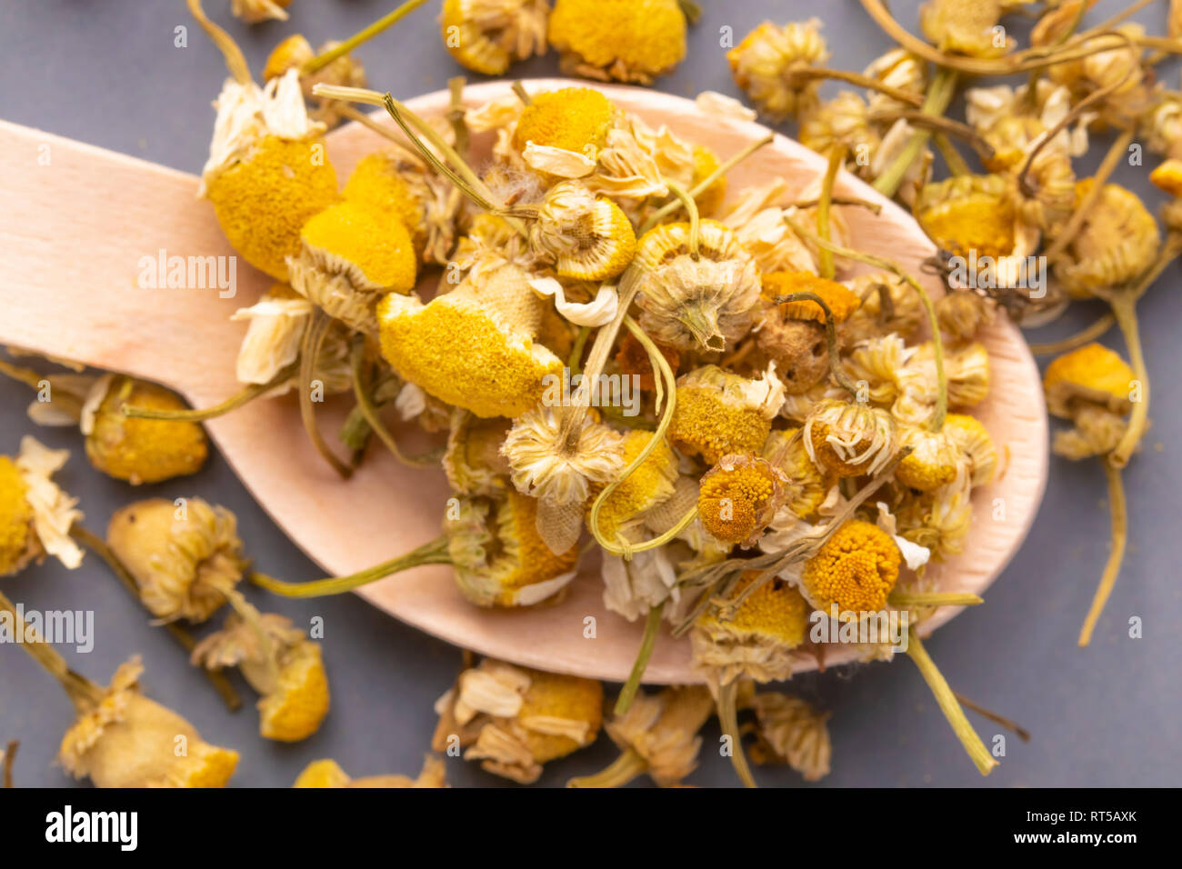 Dried chamomile flowers in a wooden spoon on a gray plate. Natural