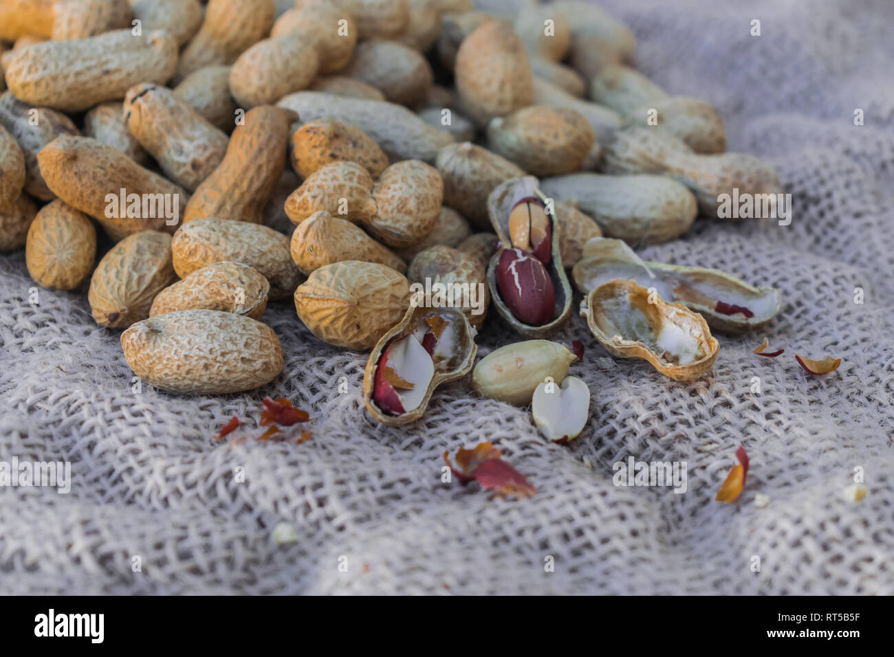 Peanuts (Arachis hypogaea) on sack surface Stock Photo