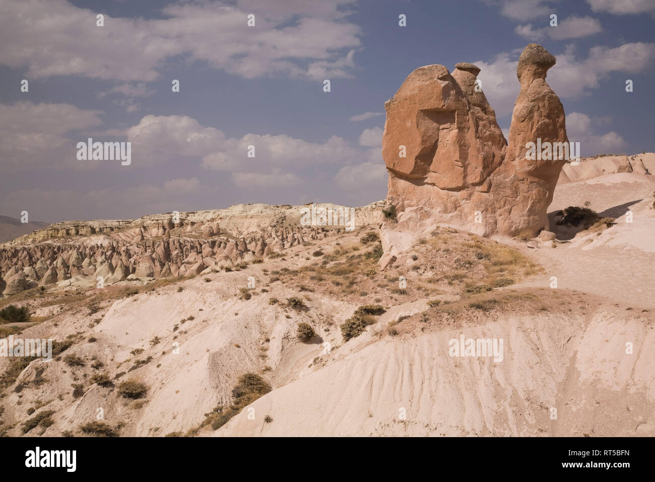 Pedestal and cone shaped eroded rock formations of hardened volcanic ...