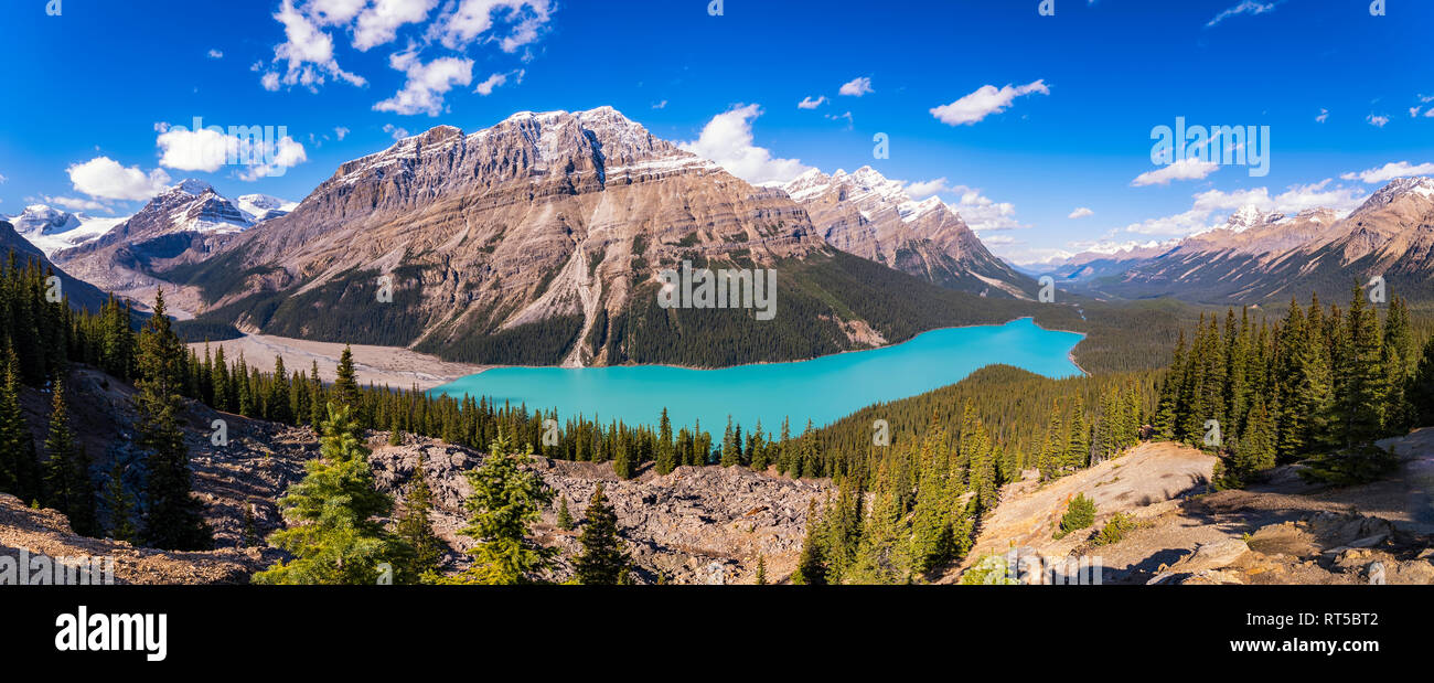 Canada, Alberta, Banff National Park, Peyto Lake Stock Photo