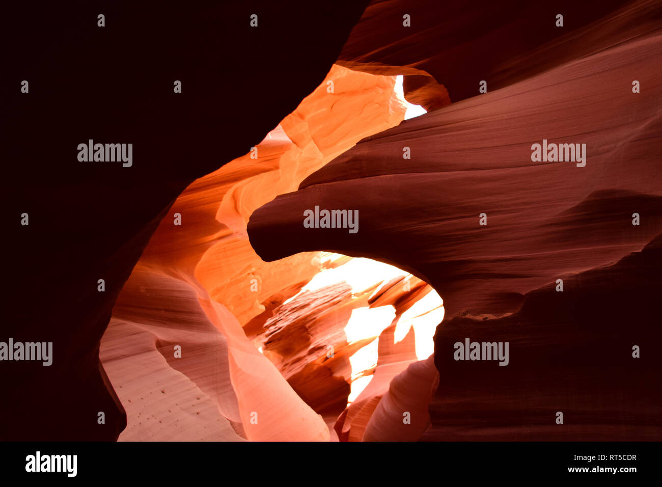 Antelope Canyon in the Navajo Reservation near Page, Arizona USA. Cave with eagle shape formation Stock Photo